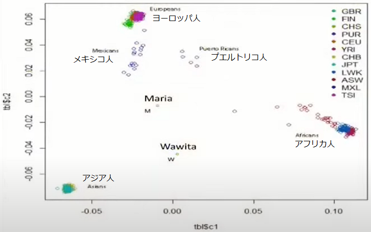 三本指のミイラ：ワウィタとマリアのDNA分析