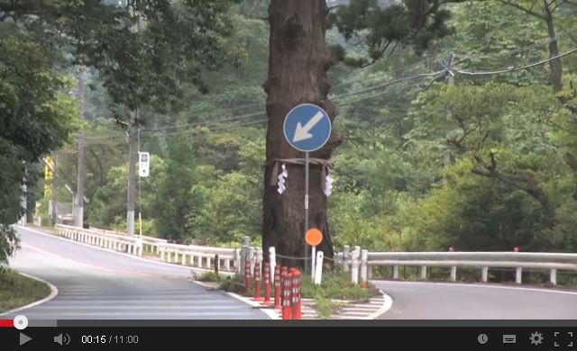 日立市 一本杉 祟り